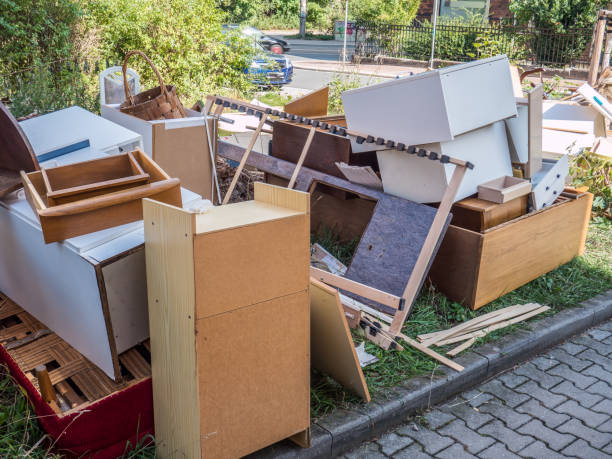 Best Shed Removal  in USA